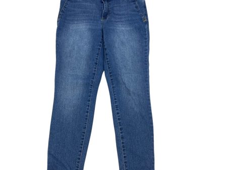 Jeans Skinny By D Jeans In Blue Denim, Size: 8 on Sale