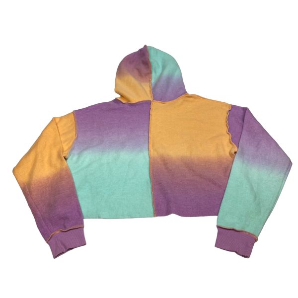 Sweatshirt Hoodie By Wild Fable In Multi-colored, Size: M For Cheap