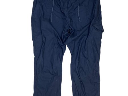 Pants Cargo & Utility By Anthology In Navy, Size: 22 For Cheap