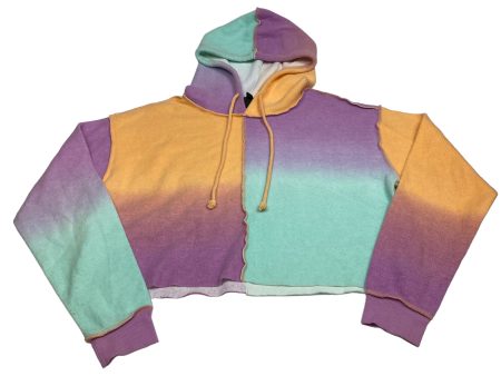 Sweatshirt Hoodie By Wild Fable In Multi-colored, Size: M For Cheap