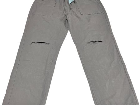 Pants Cargo & Utility By Clothes Mentor In Grey, Size: L Fashion