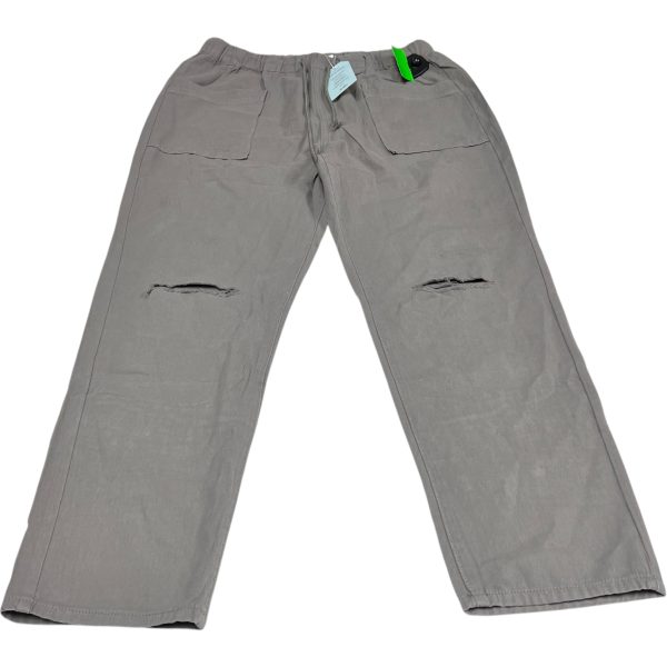 Pants Cargo & Utility By Clothes Mentor In Grey, Size: L Fashion