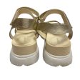 Sandals Designer By Cole-haan In Gold, Size: 10 Online Hot Sale