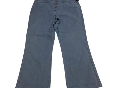 Pants Chinos & Khakis By Toad & Co In Blue, Size: 14 on Sale