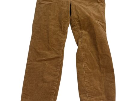 Pants Corduroy By Talbots In Brown, Size: 8p Fashion