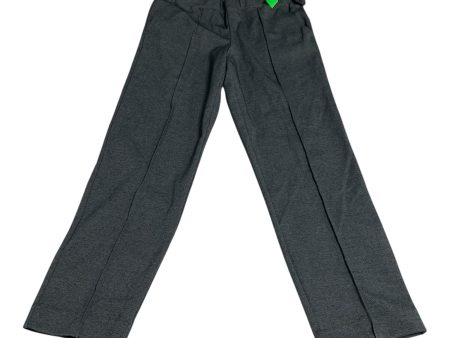 Pants Other By J. Crew In Grey, Size: S Online now