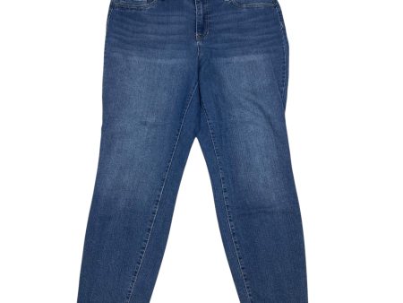 Jeans Skinny By D Jeans In Blue Denim, Size: 14 Fashion